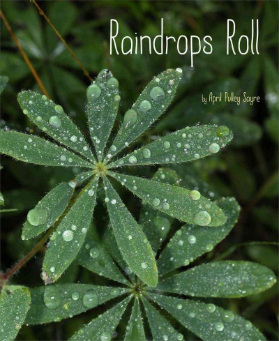 raindrops roll book cover.